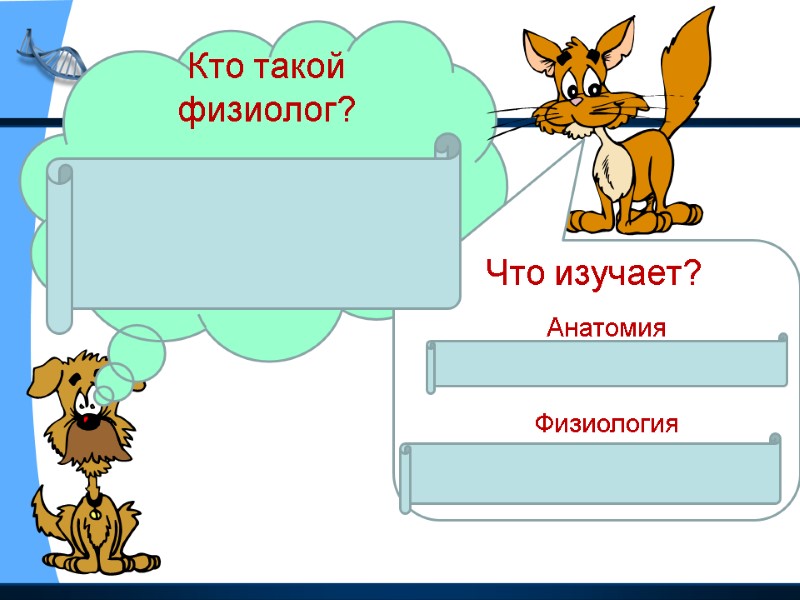 Кто такой физиолог?   Физиолог- ученый, занимающийся изучением строения и работой органов. 